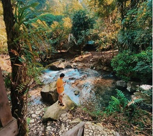 Bukit Pinus Paseban Camp